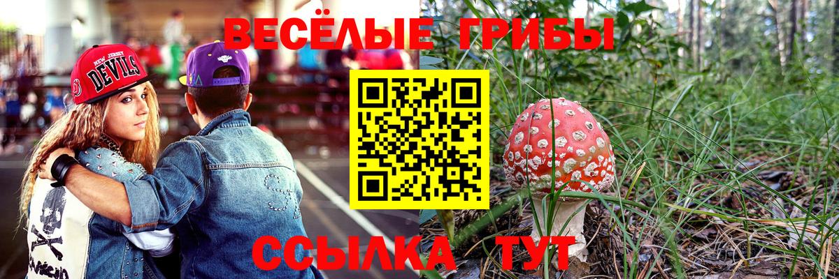 Псилоцибиновые грибы MAGIC MUSHROOMS  Вход с VPN  Дербент 