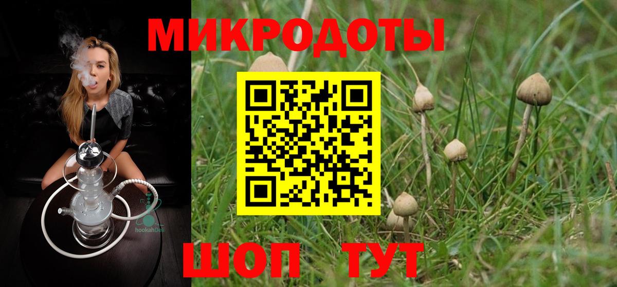 Псилоцибиновые грибы мицелий Дербент